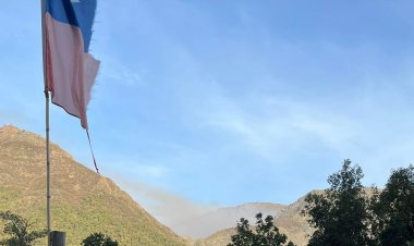 SENAPRED decretó alerta amarilla por simultaneidad de incendios forestales en el Maule