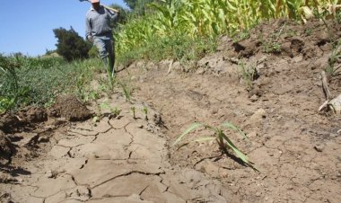 Cambio climático genera variación en las estaciones del año  e inminente peligro para la agricultura