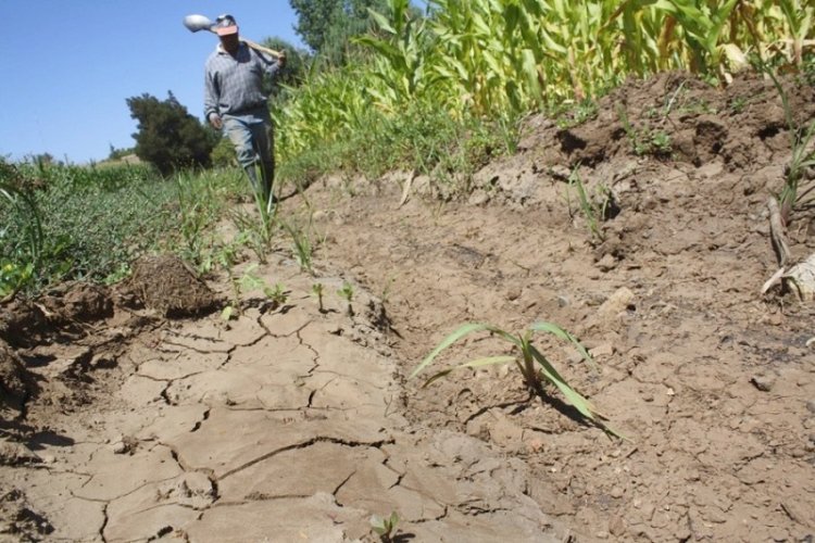 Cambio climático genera variación en las estaciones del año e inminente peligro para la agricultura