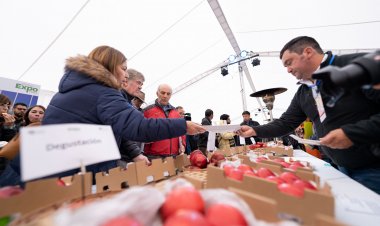 Investigadores desarrollarán nuevas variedades de manzanas y peras resistentes a climas cálidos