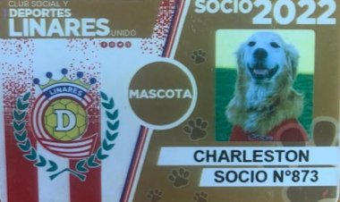Murió Charleston, el perruno que era fiel hincha del Depo Albirrojo