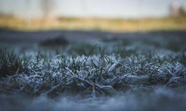 Ola polar aumentaría el déficit hídrico