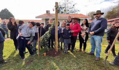 Plantan copihue en el jardín de la Municipalidad de Colbún