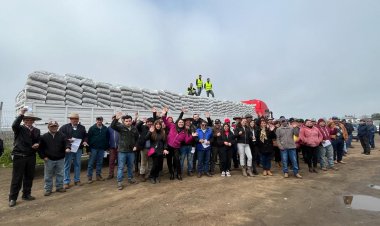 Gobierno entrega más de 4.000 sacos de alimento concentrado para animales de agricultores No INDAP afectados por temporales en Linares