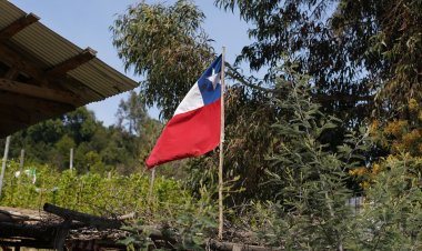 CORE Pablo Gutiérrez destaca construcción de APR en Los Boldos al interior de la comuna de Colbún