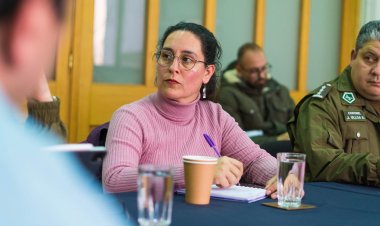 Aly Valderrama Villarroel rompe el silencio y reconoce equivocación: "la Delegación Presidencial Provincial de Linares es de todas y todos los chilenos"