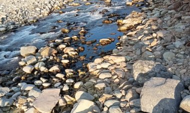 (VIDEO) Musgo o aceite: la interrogante de la mancha negra que apareció en la ribera norte del río Ancoa a la altura del puente Chupallar