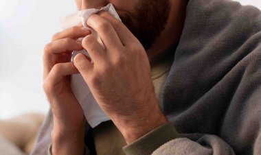 Consumo de alimentos procesados aumentaría prevalencia  de alergias estacionales