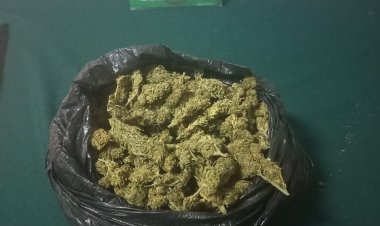 Linares: migrante brasileño fue detenido por conducir bajo los efectos de las drogas