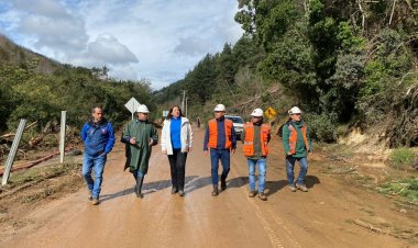(AUDIO) Presupuesto 2024 Gobiernos Regionales: Senadora Vodanovic advirtió que el Maule no ha sido priorizada en la misma medida que otras regiones
