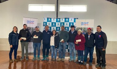 Longaví: agricultores reciben millonarios recursos para potenciar sus cultivos tradicionales