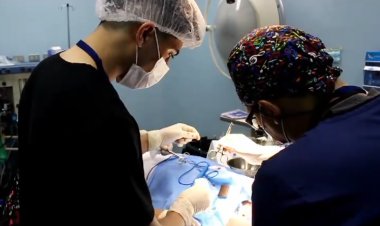 (VIDEO) Operativo dermatológico y reumatológico benefició a más de 130 pacientes del hospital de Linares