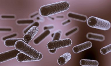 ¿Qué es la resistencia a los antimicrobianos y cuáles son los riesgos para la salud pública?