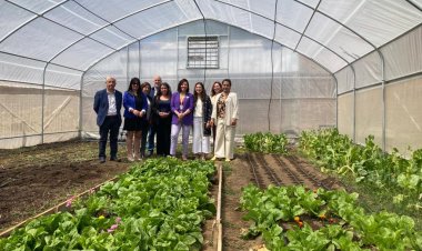 Fondo de Protección Ambiental permitió construir invernadero en escuela especial Las Violetas de Linares