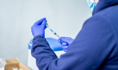 Pirola, la nueva variante del Covid: cuáles son sus síntomas