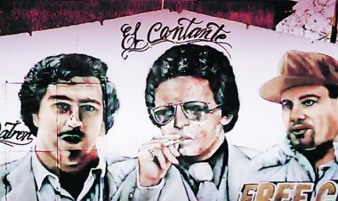 Senadora por el Maule, Paulina Vodanovic: "El Estado no debe fomentar la apología del delito"