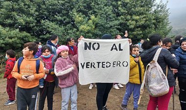 Carla Alegría Vásquez: Linares, ¿Una comuna de apáticos?