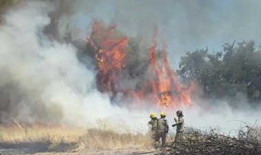 (VIDEO) Preso sujeto que originó incendio forestal en Colbún