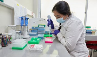 Experta advierte que brecha salarial entre hombres y mujeres es una asignatura pendiente en Chile