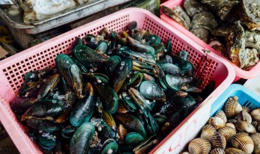 Experta detalla los cuidados al consumir productos del mar