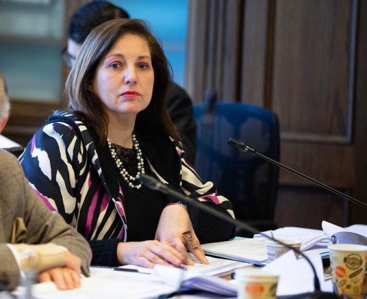 Senadora Vodanovic condenó el “cobarde asesinato de tres Carabineros” y llamó a aprobar la Ley Antiterrorista que presentó en la Comisión de Seguridad