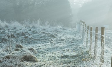 Alertan sobre el daño de las heladas tempranas a la agricultura