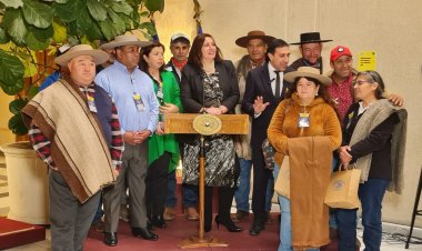 Junto a alcaldes del Maule: Senadora Vodanovic presentó Proyecto de Ley para instaurar el "Día Nacional del Arriero”