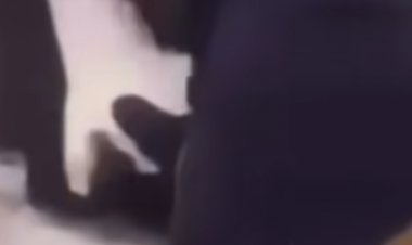 Anuncian expulsión de alumnas que protagonizaron grave incidente al interior de sala de clases del Liceo Bicentenario “Arturo Alessandri Palma” de Longaví