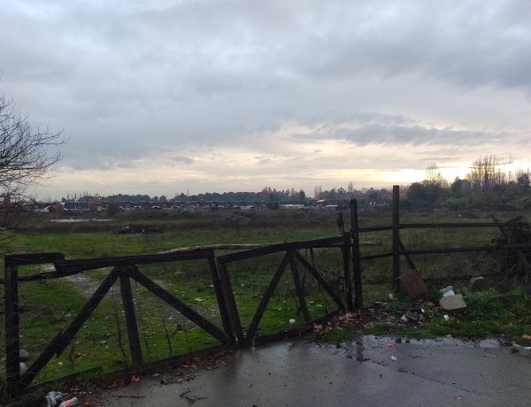 (AUDIO) Linares: construirán un Supermercado Jumbo, un local MacDonald's y un Stripcenter en la avenida Aníbal León Bustos