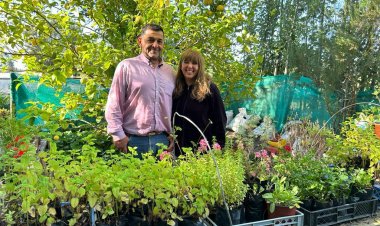 Agricultores utilizan lana de oveja como biofertilizante