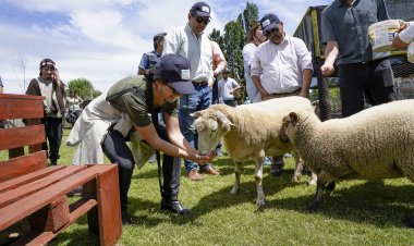 Conectando Sueños Turismo entregará conectividad satelital a empresarias turísticas de cinco regiones del país