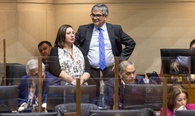 Senadora Vodanovic destacó la aprobación del Proyecto de Ley Anti-Elusión
