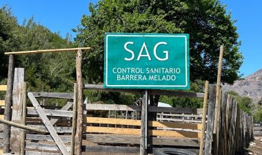 Autoridades dan el vamos a temporada de veranadas en el Maule