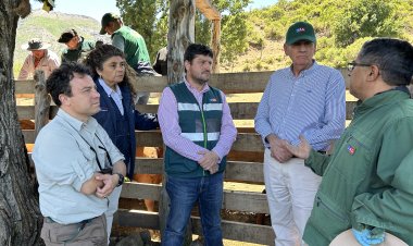 Autoridades verifican normal funcionamiento de veranadas