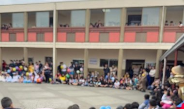Revuelo por desvinculación de dos profesoras desde el Liceo Nuestra Señora del Rosario de Linares