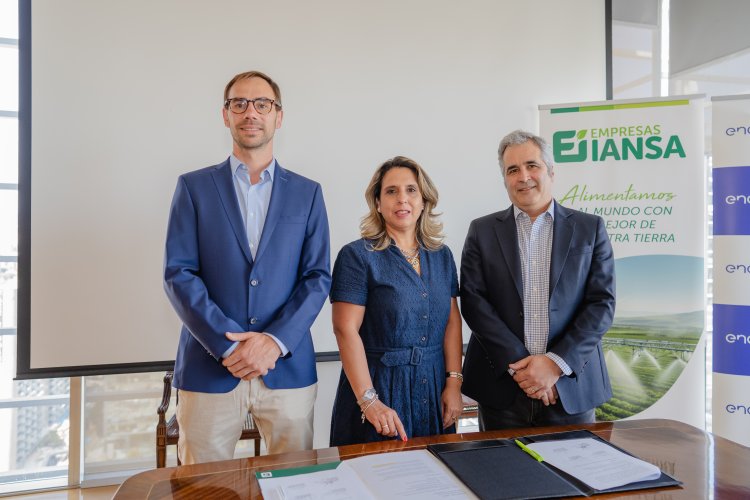 Empresas Iansa y Enel X desarrollarán proyecto de energía fotovoltaica que autogenerará el 100 ciento de la operación de cuatro predios agrícolas