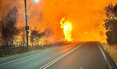 Amplían detención de joven que habría provocado incendios en el sector Llancanao