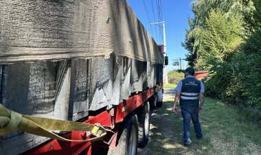 Autoridades supervisan transporte de uva en fiscalización carretera