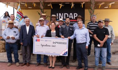 INDAP entrega más de 478 millones de pesos en incentivos para impulsar la producción de maíz en el Maule
