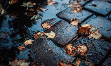 Cambio de estación: Experto proyecta otoño  con lluvias extremas en corto tiempo