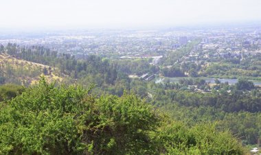 Talca se adjudica proyecto de la FAO para reforestar 15 hectáreas de su Bosque Municipal