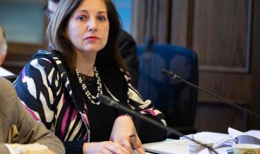 Senadora Vodanovic pidió “urgencia” para Ley de Robo de Cables que ubica al Maule como la segunda más afectada del país