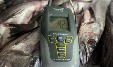 Delegada Presidencial Aly Valderrama junto a la Oficina de la Seremia de Salud realizaron fiscalizaciones en el Mercado de Linares previo a Semana Santa