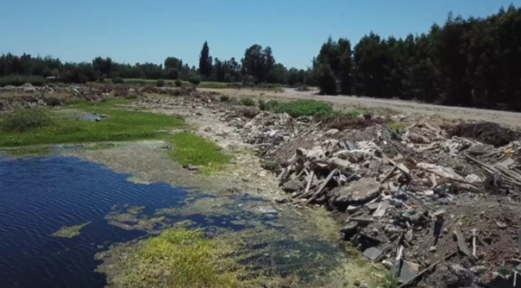 Concejales Ibáñez, Fuentes y Campos piden investigar funcionamiento de vertedero ilegal en sector Ballica Norte de Linares