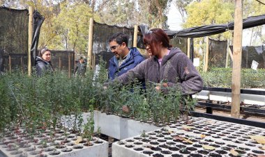 CONAF reconoce e impulsa el empleo femenino en el cuidado y protección del medio ambiente