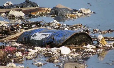 Linares: Senadora Vodanovic pidió investigar denuncia por vertedero ilegal en el sector Ballica Norte