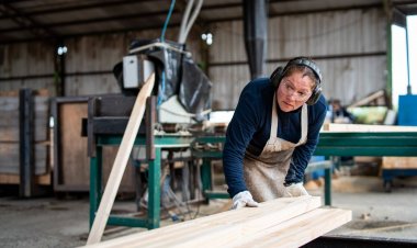 Maule registra tasa de desocupación bajo el promedio país