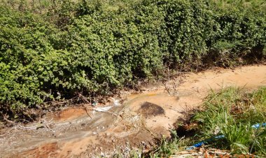 Maule: SMA inicia requerimiento de ingreso al SEIA a planta de procesamiento Multigranos Longaví