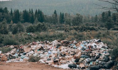 (PUBLICACIÓN PAGADA) Preocupación por aumento de vertederos ilegales en Linares