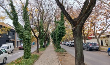 Alcalde de Talca anuncia ambicioso proyecto de "Nueva Diagonal Isidoro del Solar" en el 283° aniversario de la ciudad